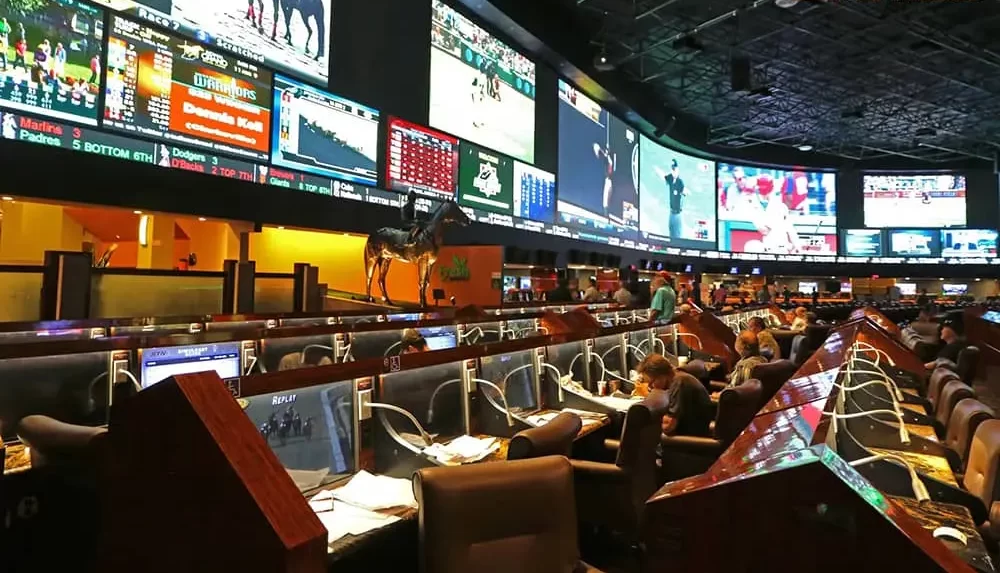 sports betting